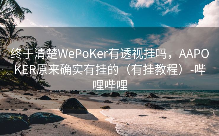 终于清楚WePoKer有透视挂吗,AAPOKER原来确实有挂的(有挂教程)-哔哩哔哩 终于清楚WePoKer有透视挂吗,AAPOKER原来确实有挂的(有挂教程)-哔哩哔哩