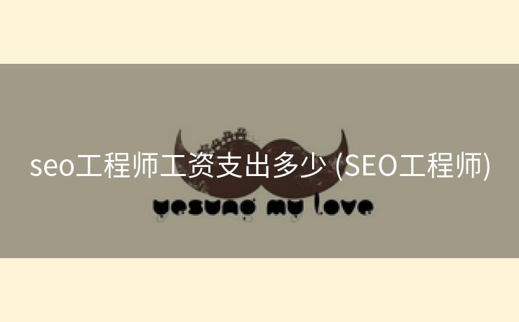 seo工程师工资支出多少 (SEO工程师)