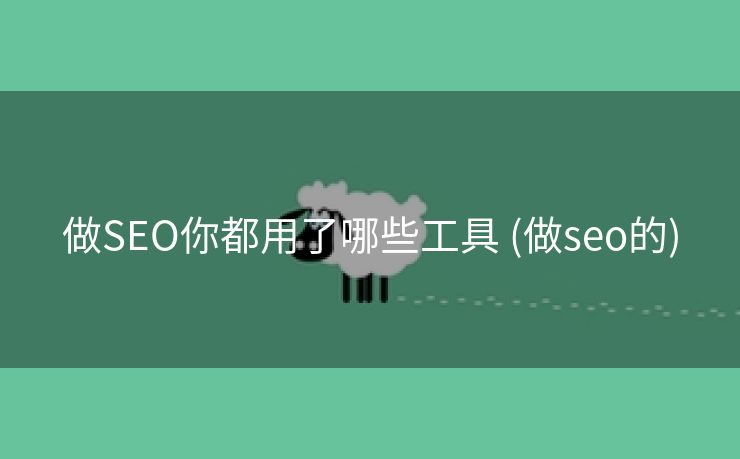 做SEO你都用了哪些工具 (做seo的)