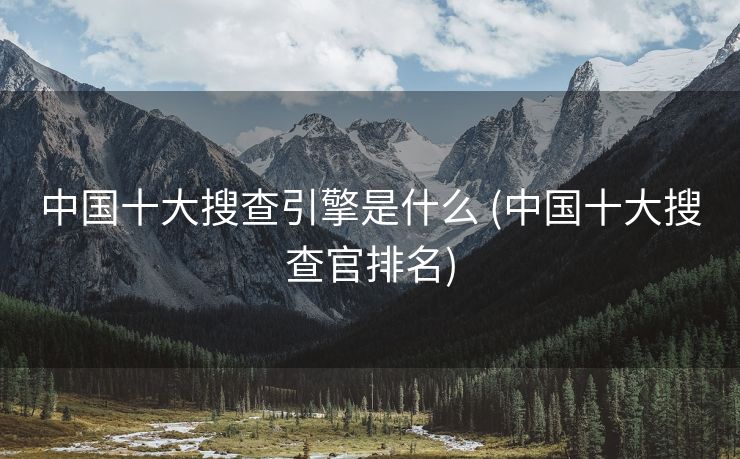 中国十大搜查引擎是什么 (中国十大搜查官排名)