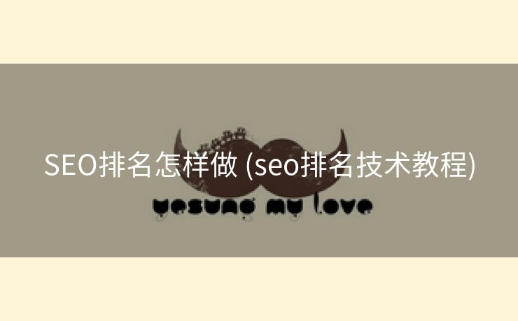SEO排名怎样做 (seo排名技术教程)