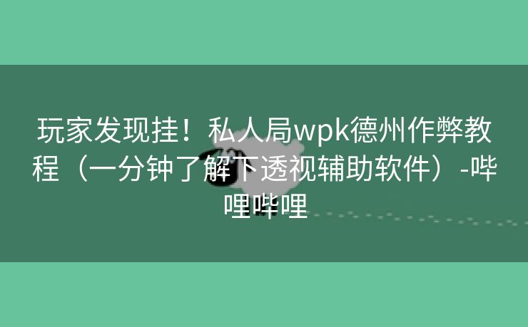 玩家发现挂！私人局wpk德州作弊教程（一分钟了解下透视辅助软件）-哔哩哔哩