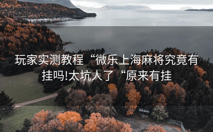 玩家实测教程“微乐上海麻将究竟有挂吗!太坑人了“原来有挂