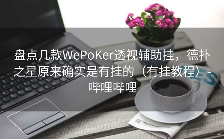 盘点几款WePoKer透视辅助挂，德扑之星原来确实是有挂的（有挂教程）-哔哩哔哩