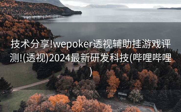 技术分享!wepoker透视辅助挂游戏评测!(透视)2024最新研发科技(哔哩哔哩)