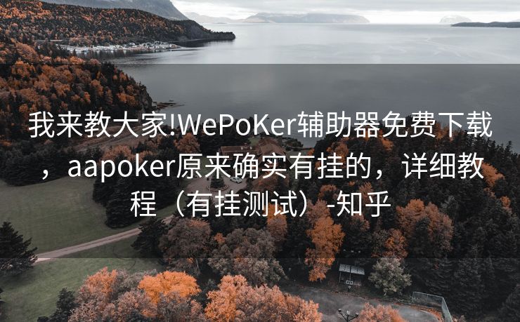 我来教大家!WePoKer辅助器免费下载，aapoker原来确实有挂的，详细教程（有挂测试）-知乎