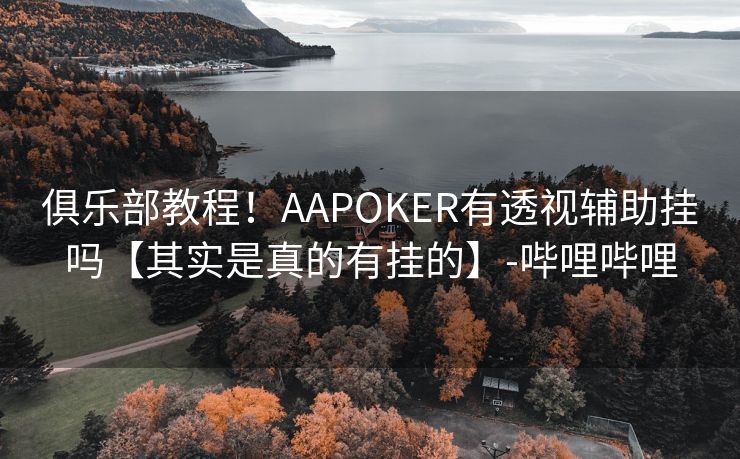 俱乐部教程！AAPOKER有透视辅助挂吗【其实是真的有挂的】-哔哩哔哩