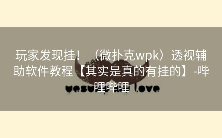 玩家发现挂！（微扑克wpk）透视辅助软件教程【其实是真的有挂的】-哔哩哔哩