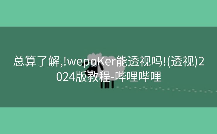 总算了解,!wepoKer能透视吗!(透视)2024版教程-哔哩哔哩