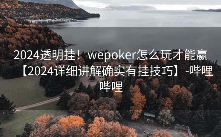 2024透明挂！wepoker怎么玩才能赢【2024详细讲解确实有挂技巧】-哔哩哔哩