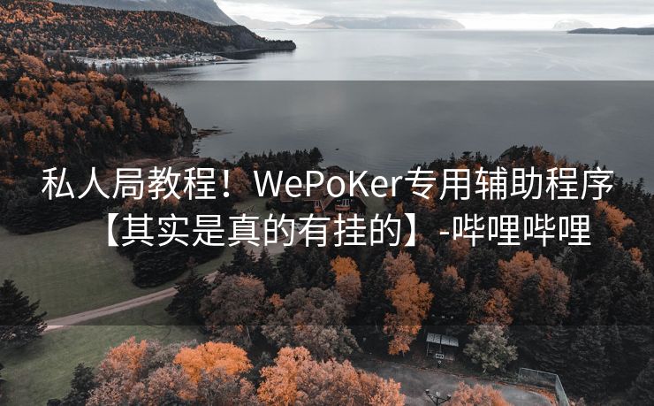 私人局教程！WePoKer专用辅助程序【其实是真的有挂的】-哔哩哔哩
