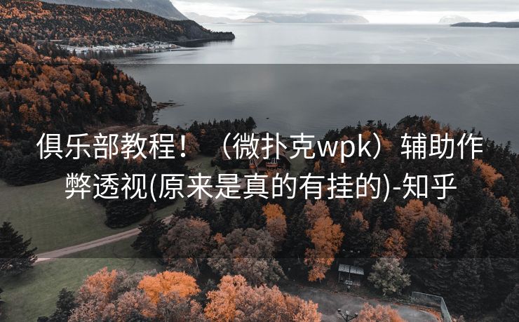 俱乐部教程！（微扑克wpk）辅助作弊透视(原来是真的有挂的)-知乎