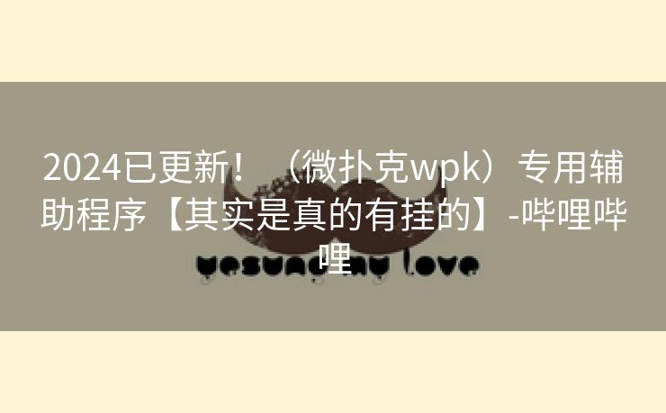 2024已更新！（微扑克wpk）专用辅助程序【其实是真的有挂的】-哔哩哔哩