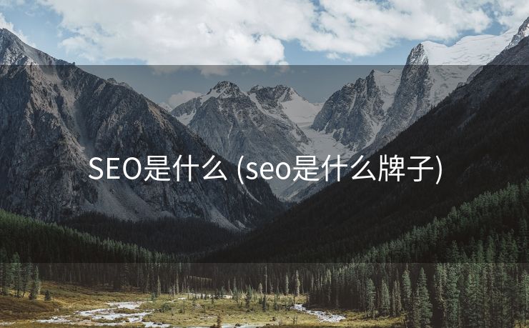 SEO是什么 (seo是什么牌子)