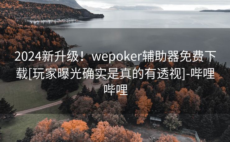 2024新升级！wepoker辅助器免费下载[玩家曝光确实是真的有透视]-哔哩哔哩