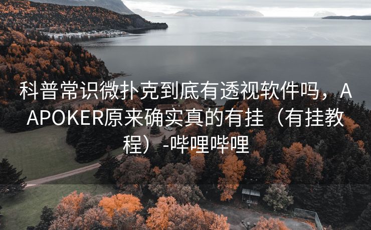 科普常识微扑克到底有透视软件吗，AAPOKER原来确实真的有挂（有挂教程）-哔哩哔哩