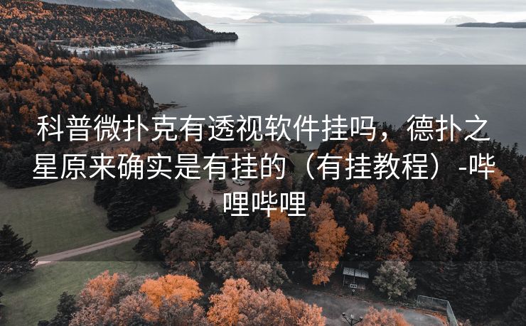科普微扑克有透视软件挂吗，德扑之星原来确实是有挂的（有挂教程）-哔哩哔哩