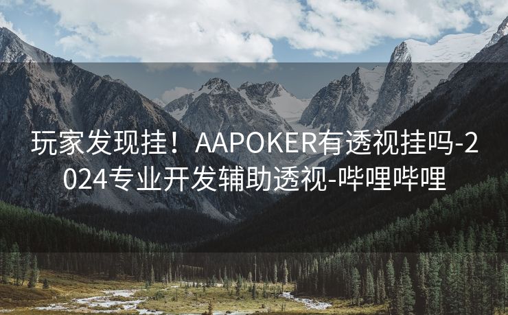 玩家发现挂！AAPOKER有透视挂吗-2024专业开发辅助透视-哔哩哔哩