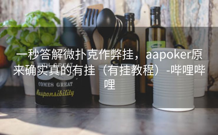 一秒答解微扑克作弊挂，aapoker原来确实真的有挂（有挂教程）-哔哩哔哩