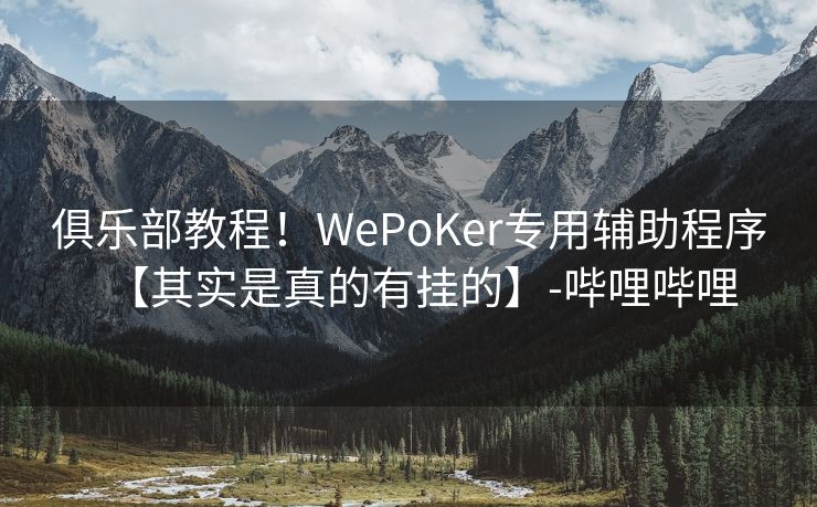 俱乐部教程！WePoKer专用辅助程序【其实是真的有挂的】-哔哩哔哩
