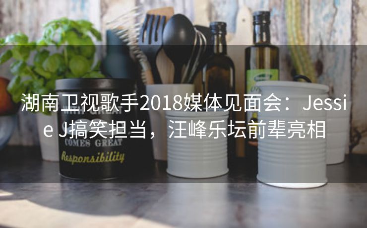 湖南卫视歌手2018媒体见面会：Jessie J搞笑担当，汪峰乐坛前辈亮相