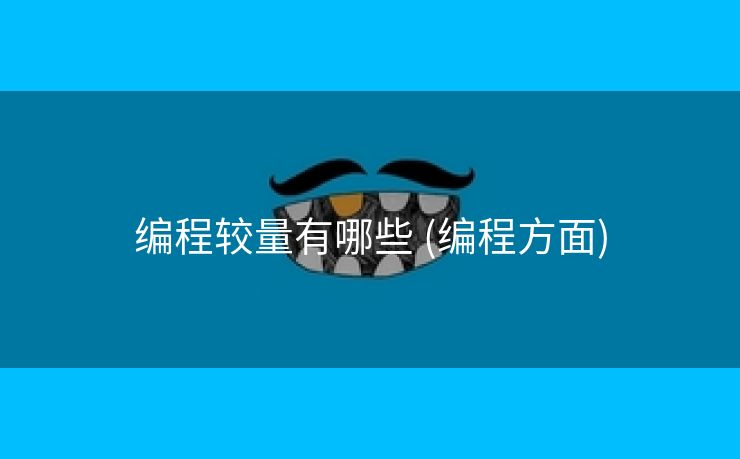 编程较量有哪些 (编程方面)