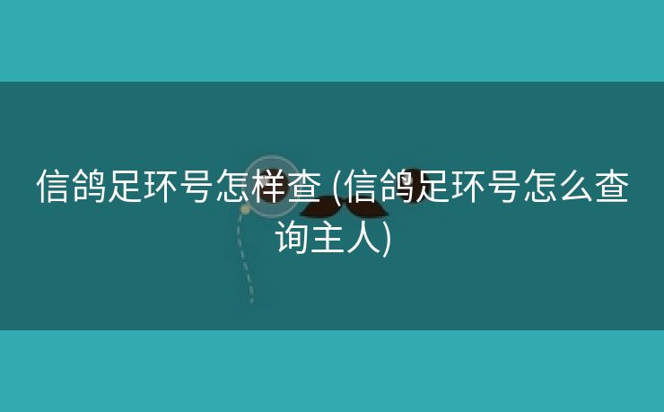 信鸽足环号怎样查 (信鸽足环号怎么查询主人)