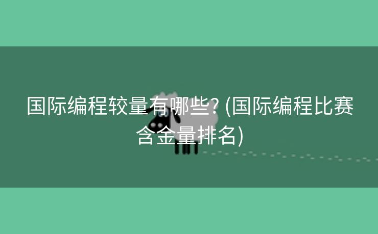 国际编程较量有哪些? (国际编程比赛含金量排名)