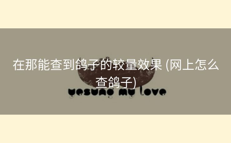 在那能查到鸽子的较量效果 (网上怎么查鸽子)
