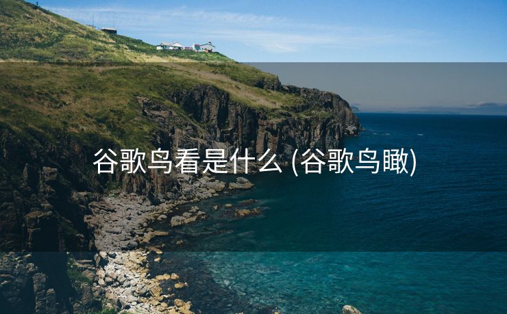 谷歌鸟看是什么 (谷歌鸟瞰)