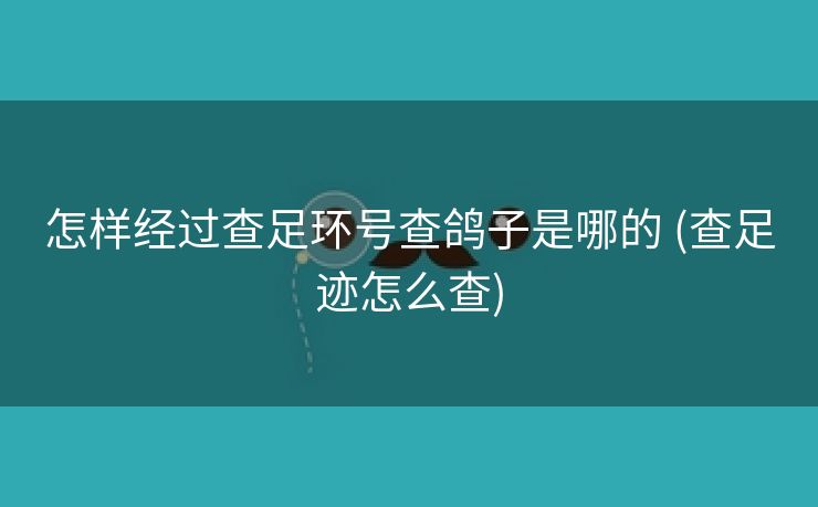 怎样经过查足环号查鸽子是哪的 (查足迹怎么查)