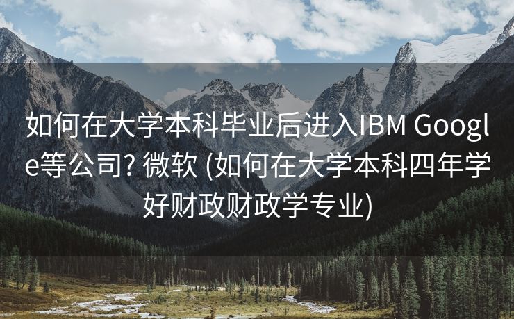 如何在大学本科毕业后进入IBM Google等公司? 微软 (如何在大学本科四年学好财政财政学专业)