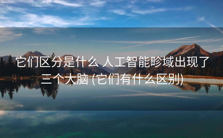 它们区分是什么 人工智能畛域出现了三个大脑 (它们有什么区别)
