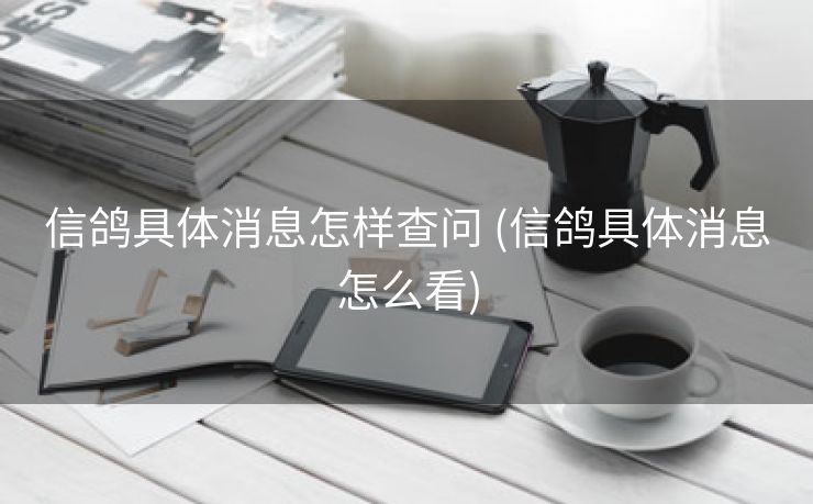 信鸽具体消息怎样查问 (信鸽具体消息怎么看)