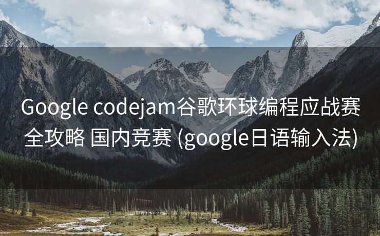Google codejam谷歌环球编程应战赛全攻略 国内竞赛 (google日语输入法)