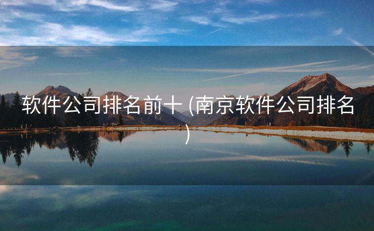 软件公司排名前十 (南京软件公司排名)