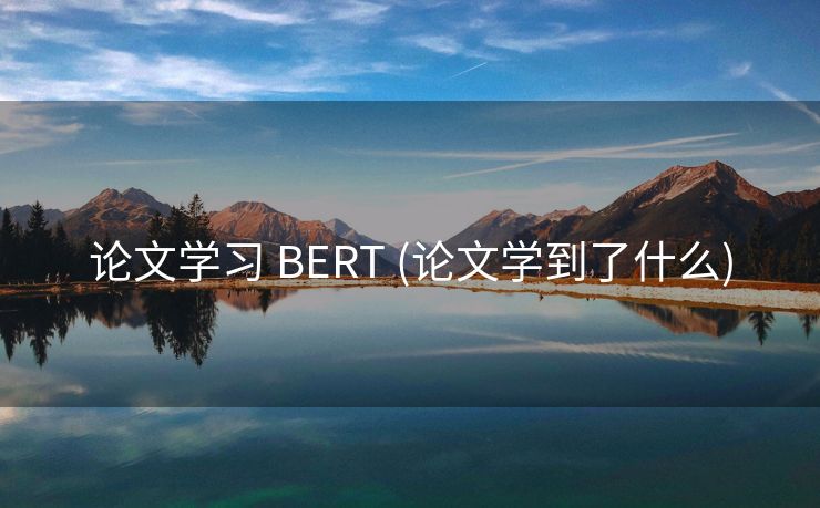 论文学习 BERT (论文学到了什么)
