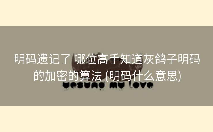明码遗记了 哪位高手知道灰鸽子明码的加密的算法 (明码什么意思)