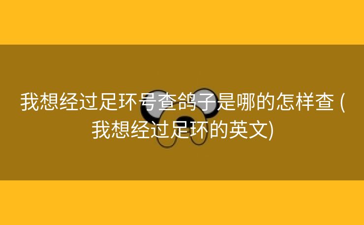 我想经过足环号查鸽子是哪的怎样查 (我想经过足环的英文)
