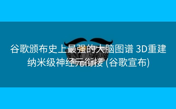 谷歌颁布史上最强的大脑图谱 3D重建纳米级神经元衔接 (谷歌宣布)