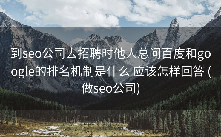 到seo公司去招聘时他人总问百度和google的排名机制是什么 应该怎样回答 (做seo公司)