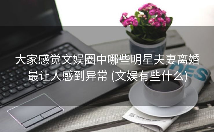 大家感觉文娱圈中哪些明星夫妻离婚最让人感到异常 (文娱有些什么)