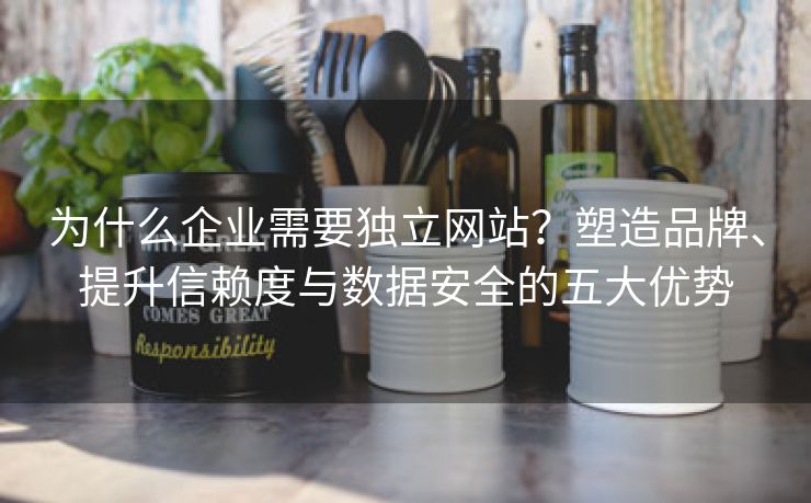 为什么企业需要独立网站？塑造品牌、提升信赖度与数据安全的五大优势