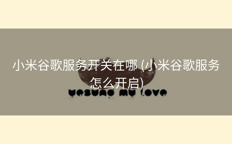 小米谷歌服务开关在哪 (小米谷歌服务怎么开启)