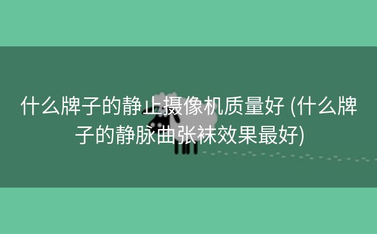 什么牌子的静止摄像机质量好 (什么牌子的静脉曲张袜效果最好)