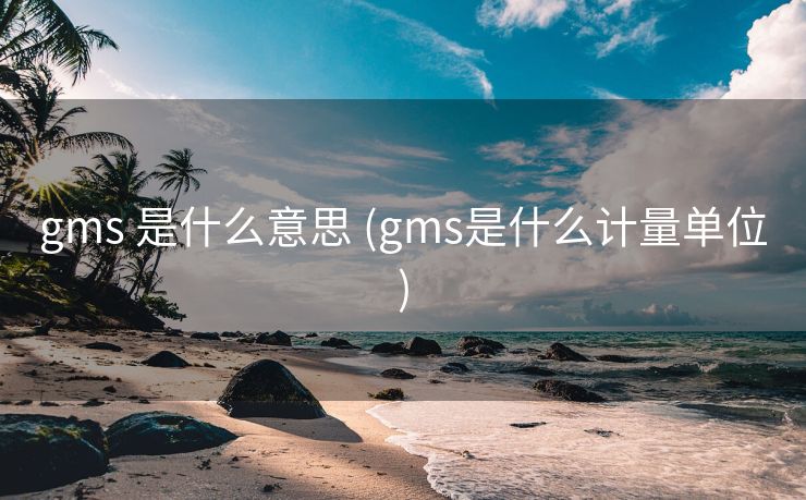 gms 是什么意思 (gms是什么计量单位)