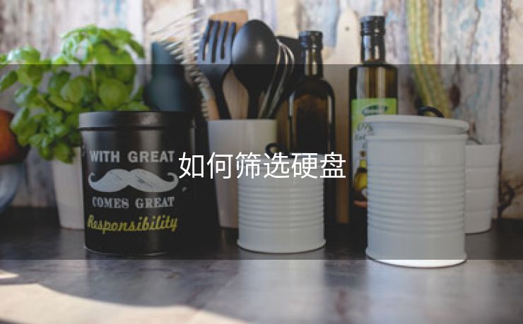 如何筛选硬盘