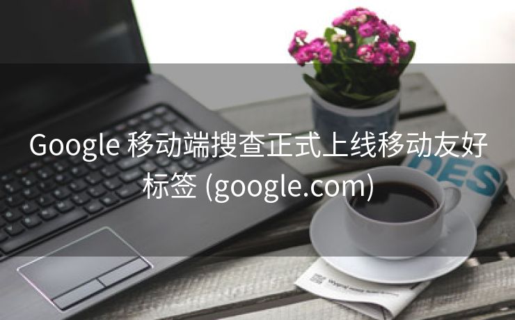 Google 移动端搜查正式上线移动友好标签 (google.com)