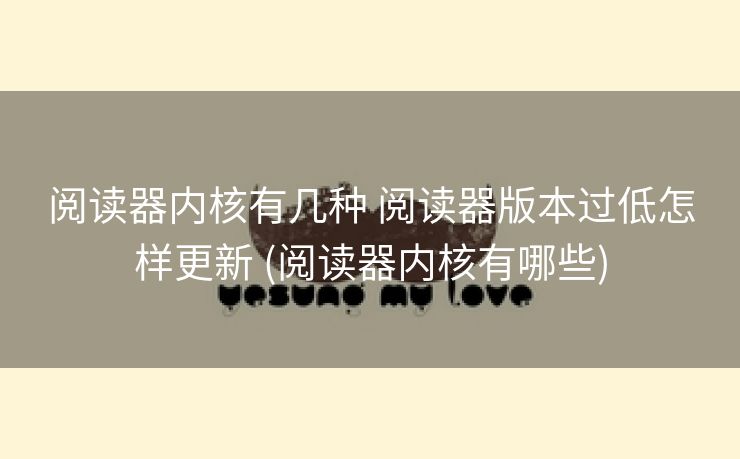 阅读器内核有几种 阅读器版本过低怎样更新 (阅读器内核有哪些)