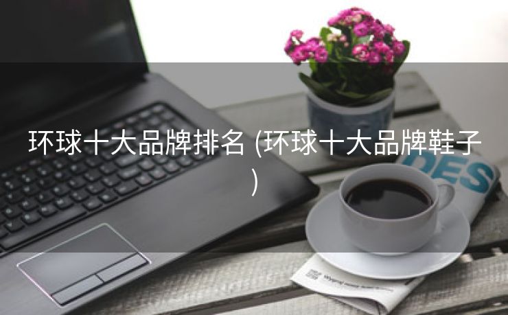 环球十大品牌排名 (环球十大品牌鞋子)